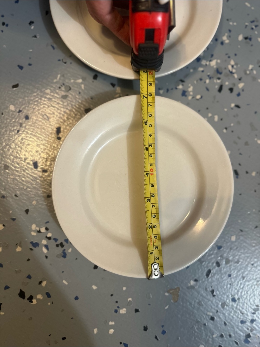 2 Everyday Cream Ceramic Dinner Plates - Versatile Tableware